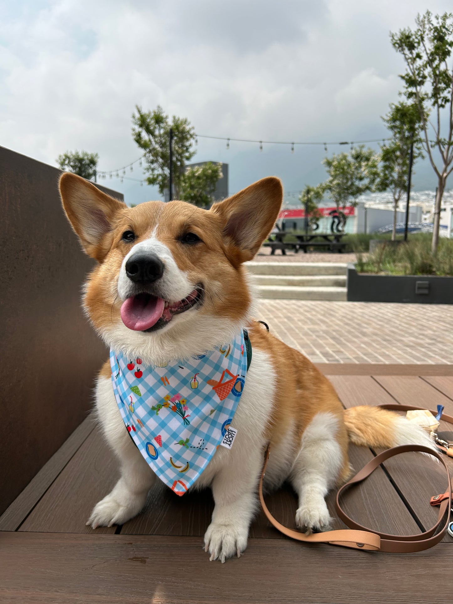 Bandana doble vista "Picnic"