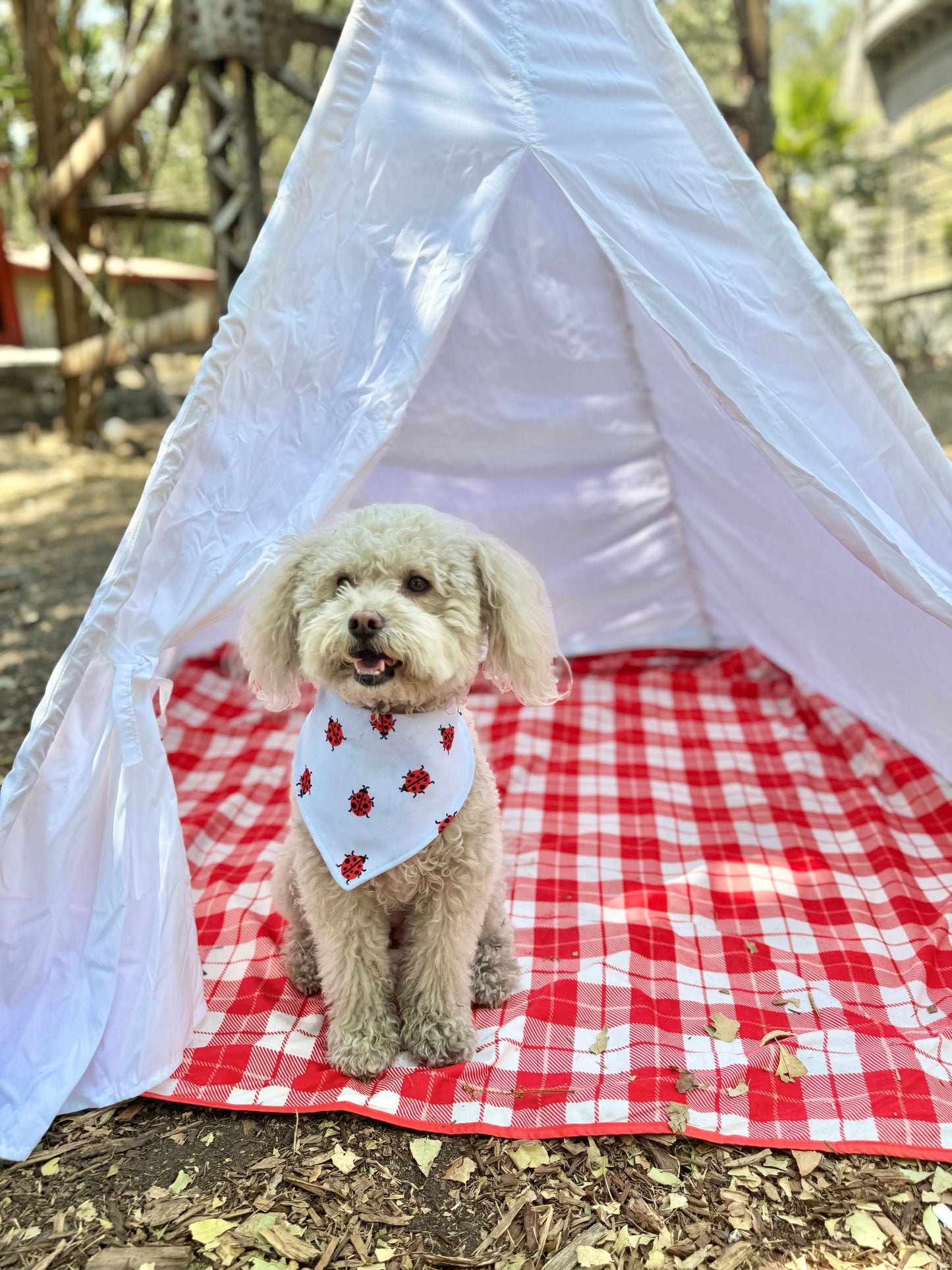 Bandana doble vista "Ladybug"