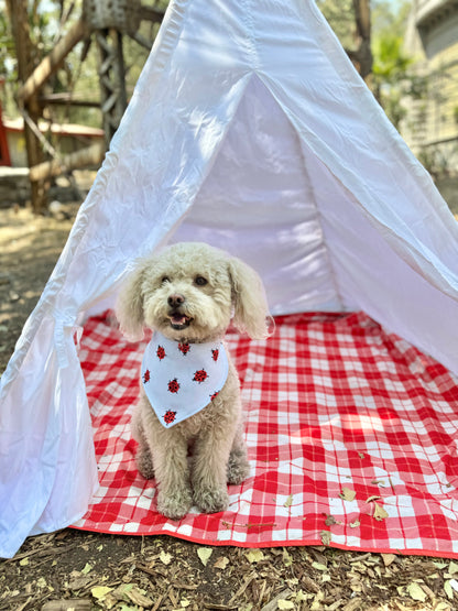 Bandana doble vista "Ladybug"