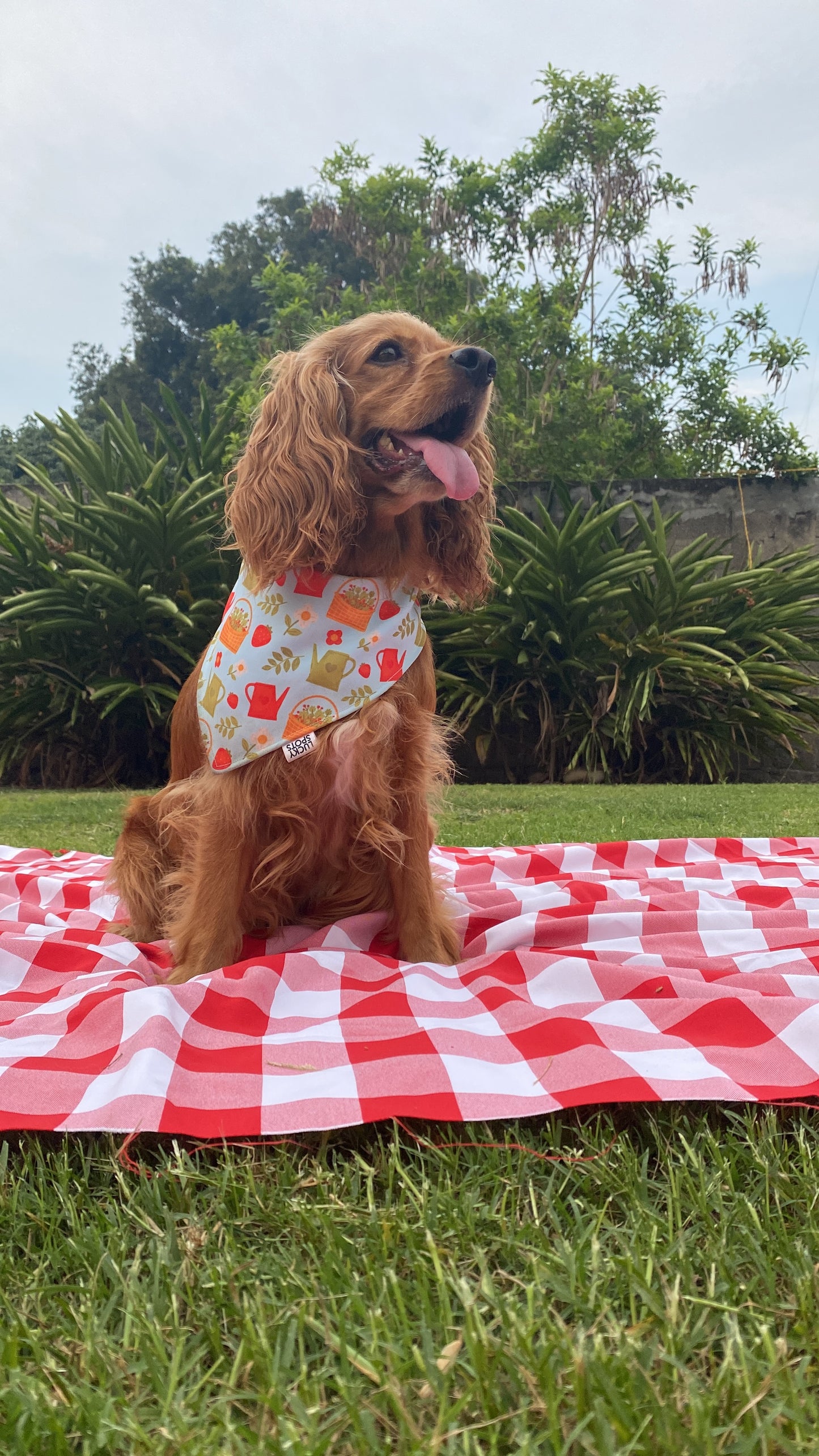 Bandana doble vista "Strawberry"