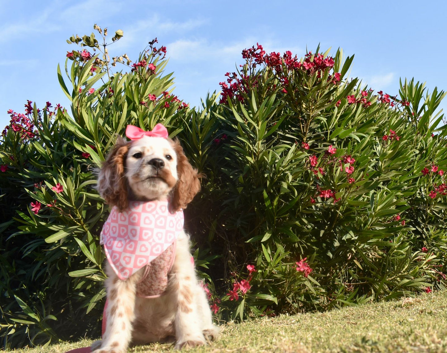 Bandana doble vista "Love is pink"